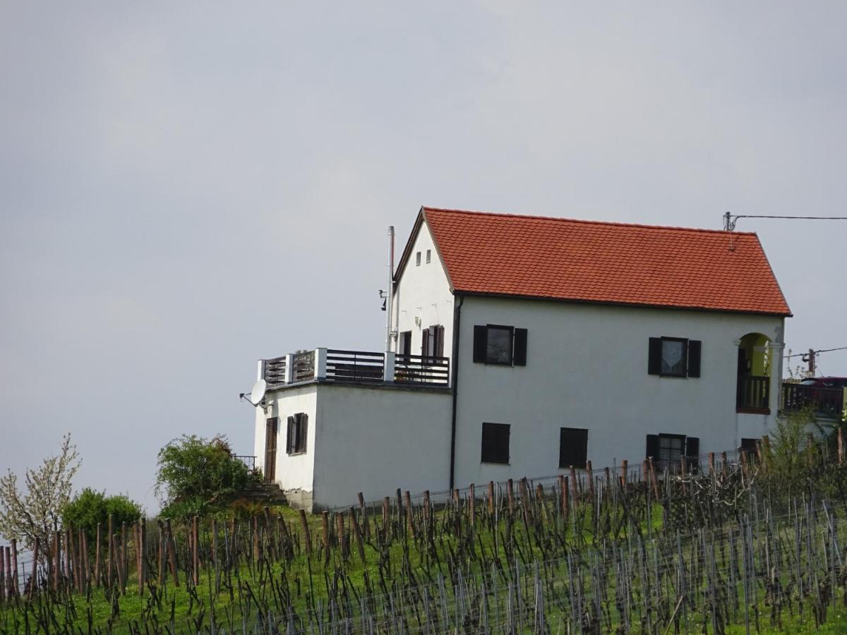 Kellerstoeckl Eisenberg/Pinka Weiner Vila Eisenberg an der Pinka Exterior foto